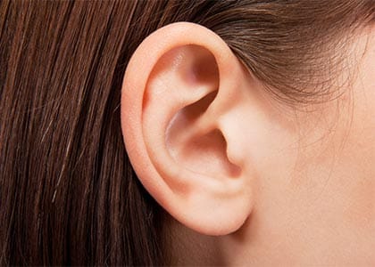 human ear